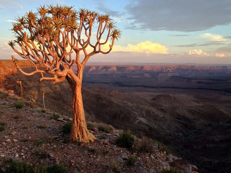 Namibia Tours