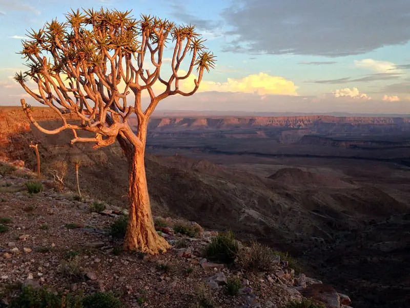 Namibia Tours