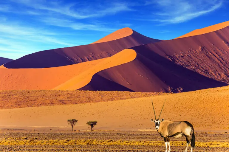 Namibia Tours