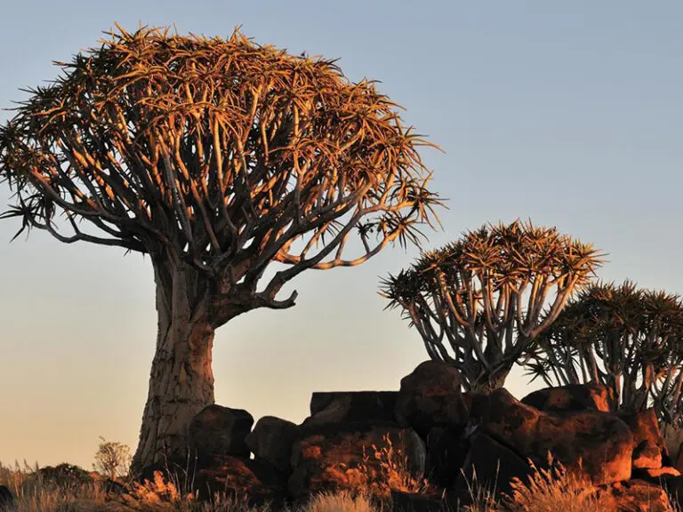 The Wondrous and Bewitching Facts About Keetmanshoop