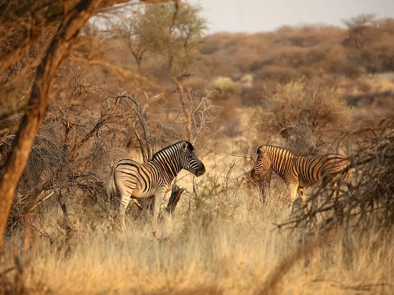 windhoek to dusternbrook guestfarm 1