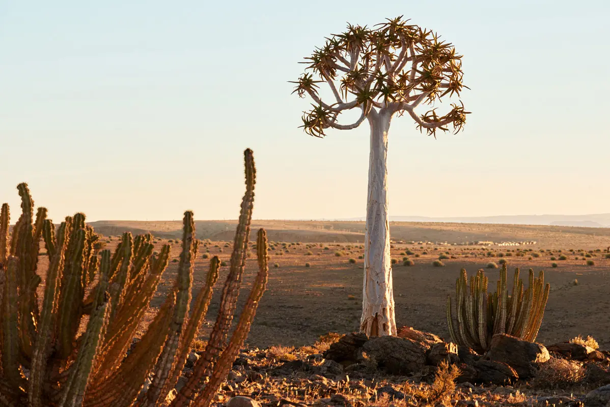 mariental to fish river canyon 1