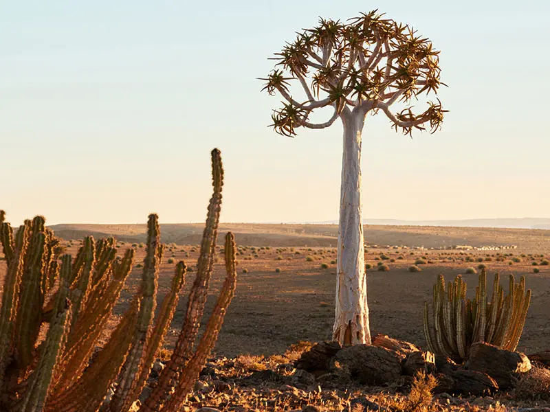 mariental to fish river canyon 1
