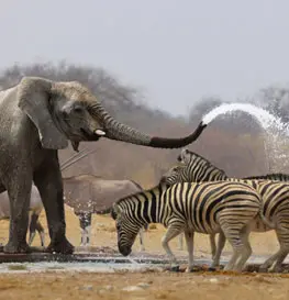 5 Reasons why Namibia is a Great Place to have a Family Holiday