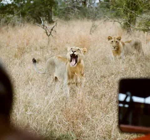 5 Reasons why South Africa is a Great Place to have a Family Holiday