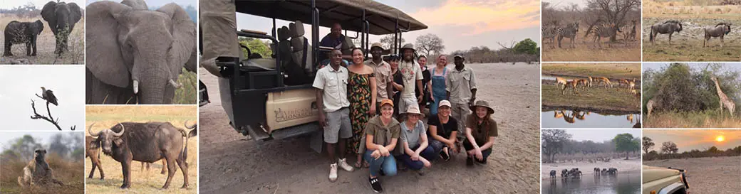 caprievi namibia game drive safari