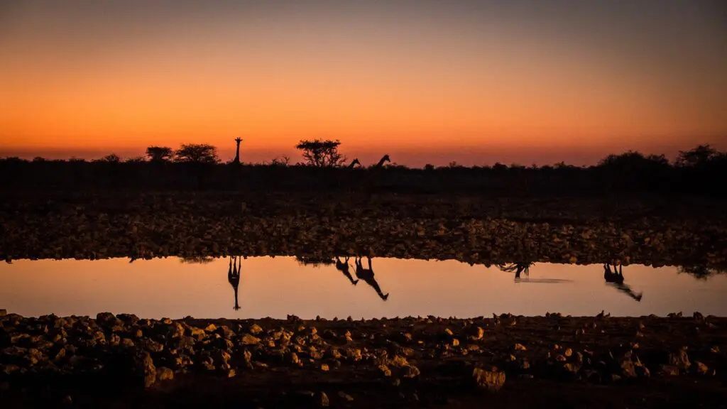 etosha safari holidays