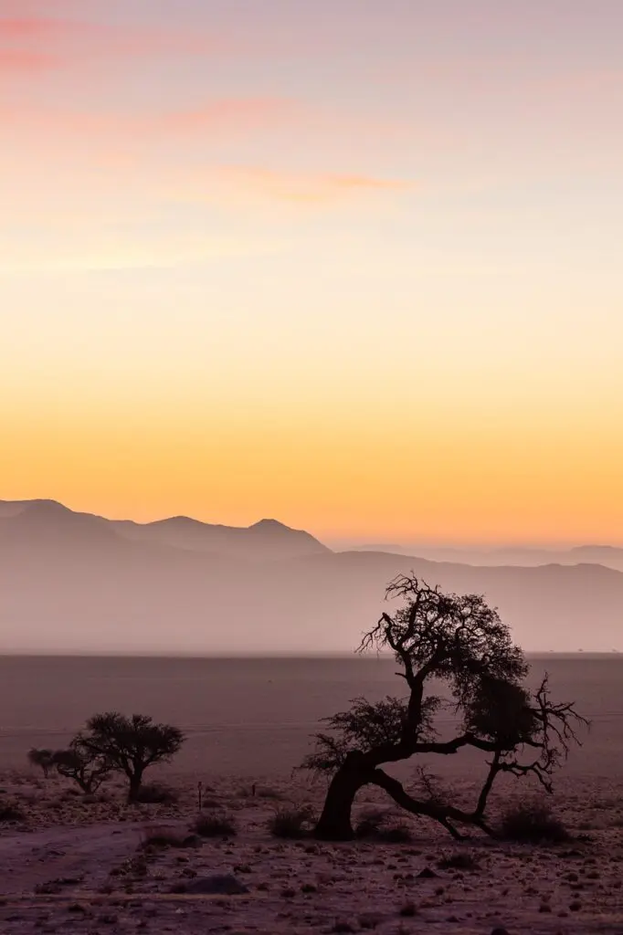 windhoek to etosha