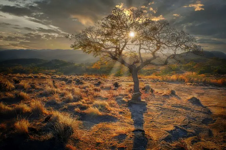 Landscape captured during a Zimbabwe tour