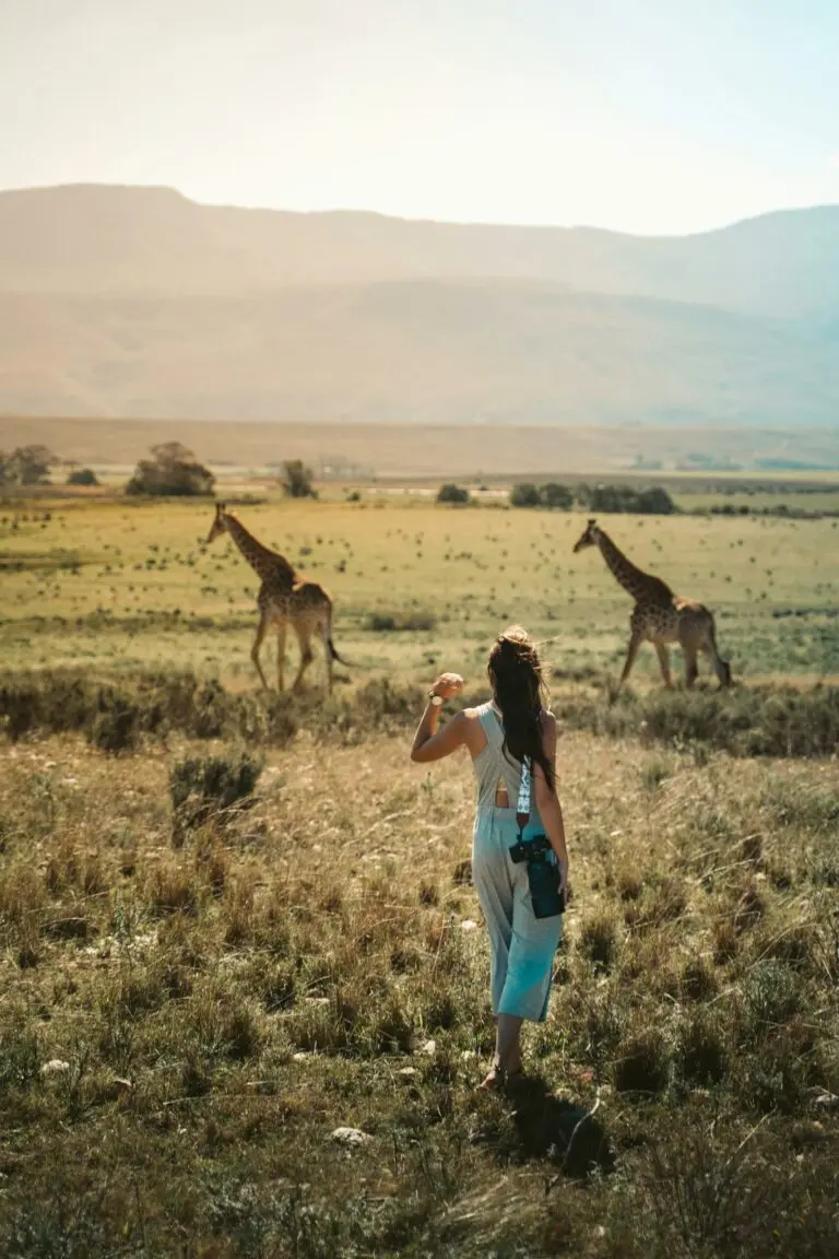 Photographic Camera Gear for Okavango Delta