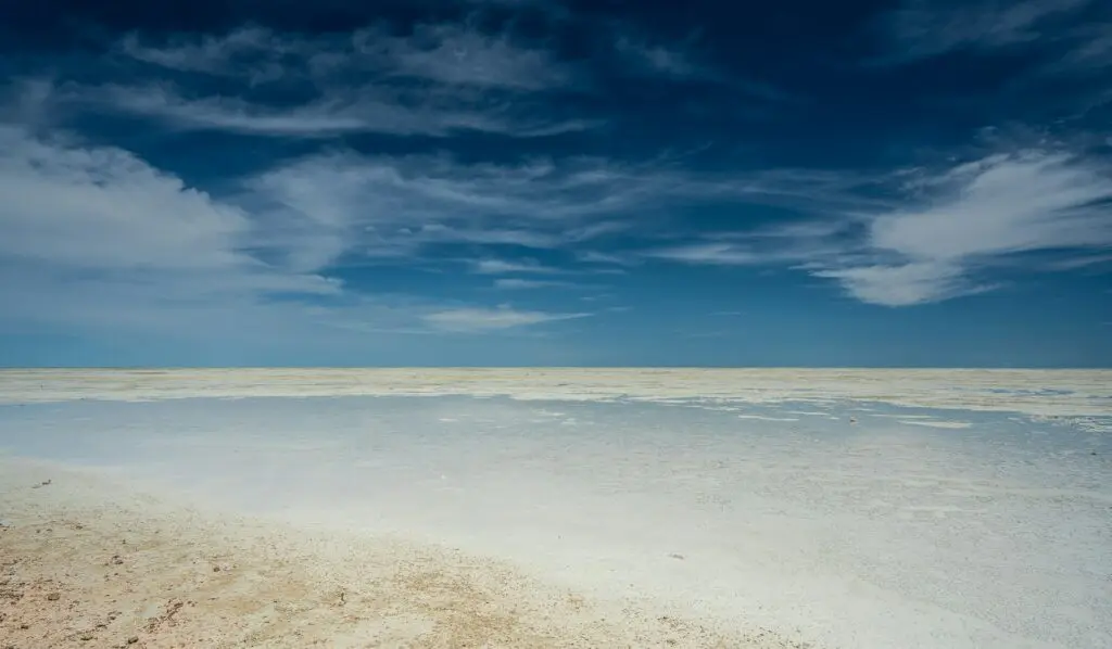 Etosha Salt Pan Landscape