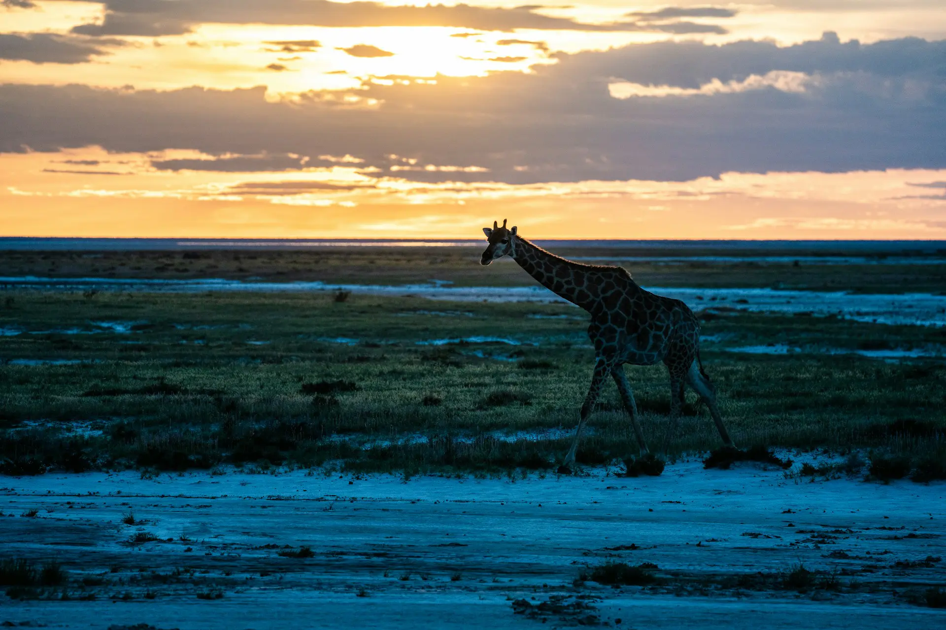 Etosha Salt Pan Tour