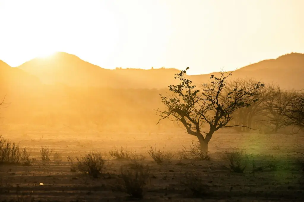 Landscape from a Damaraland Tour