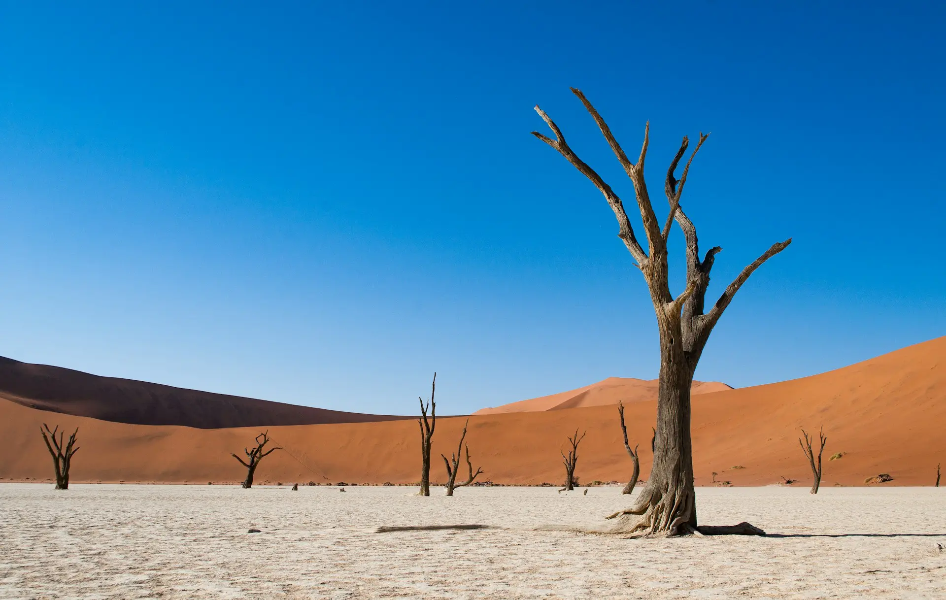 A Guide to the Best Namibia National Parks 17 Namib-Naukluft National Park