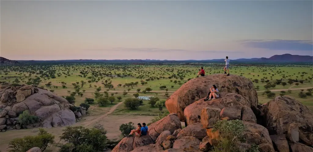 Self-Drive vs. Guided Tours in Namibia: Which Safari Style Suits You Best 17 Namibia Ecotours