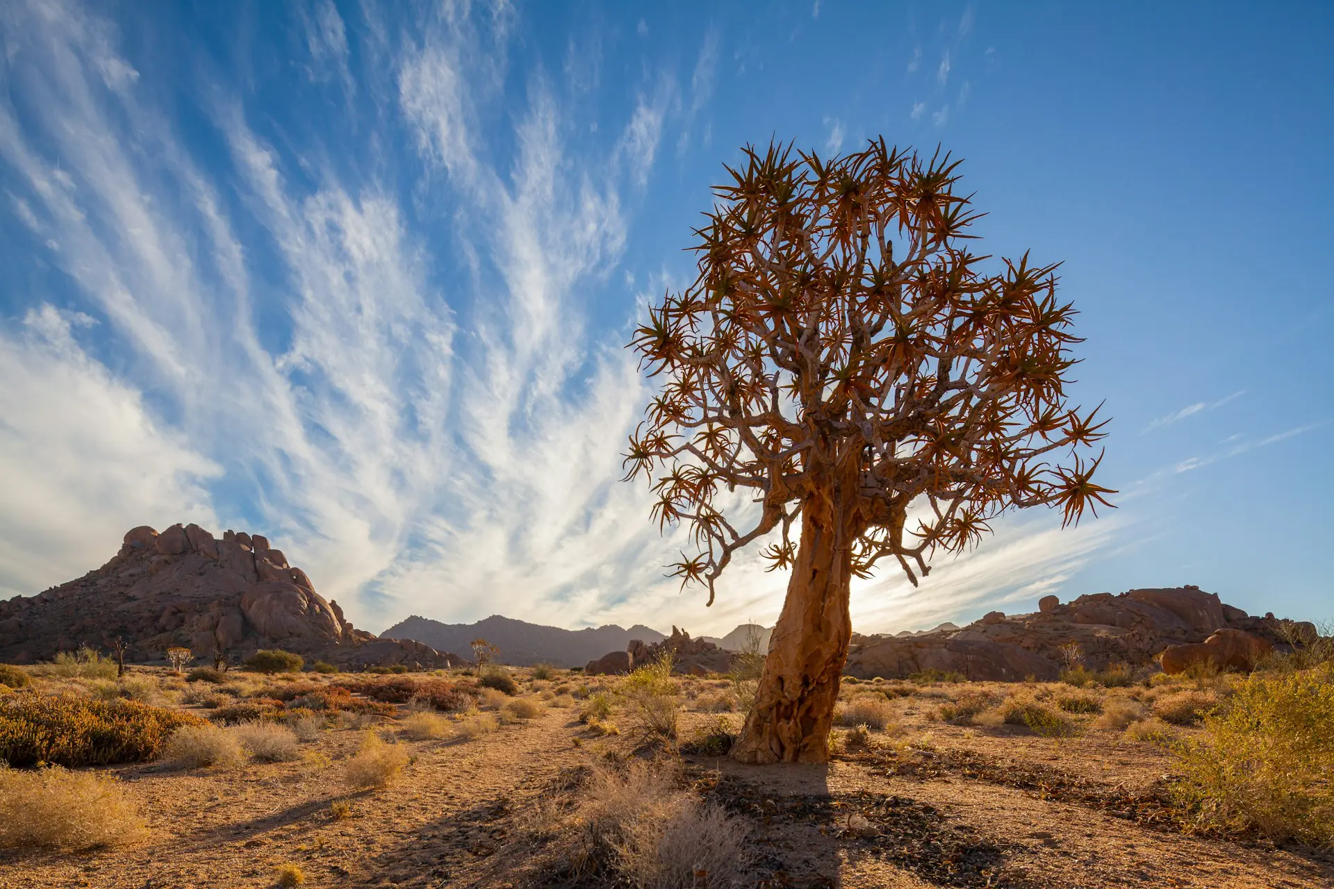 A Guide to the Best Namibia National Parks 23 Richtersveld National Park