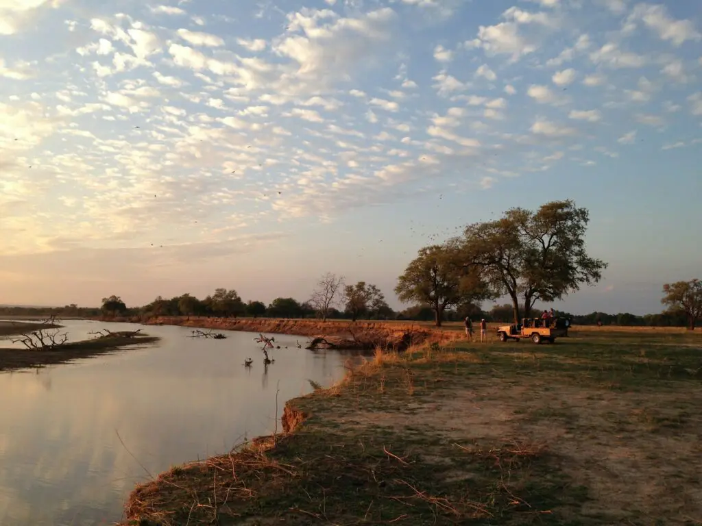 Safaris in Zambia