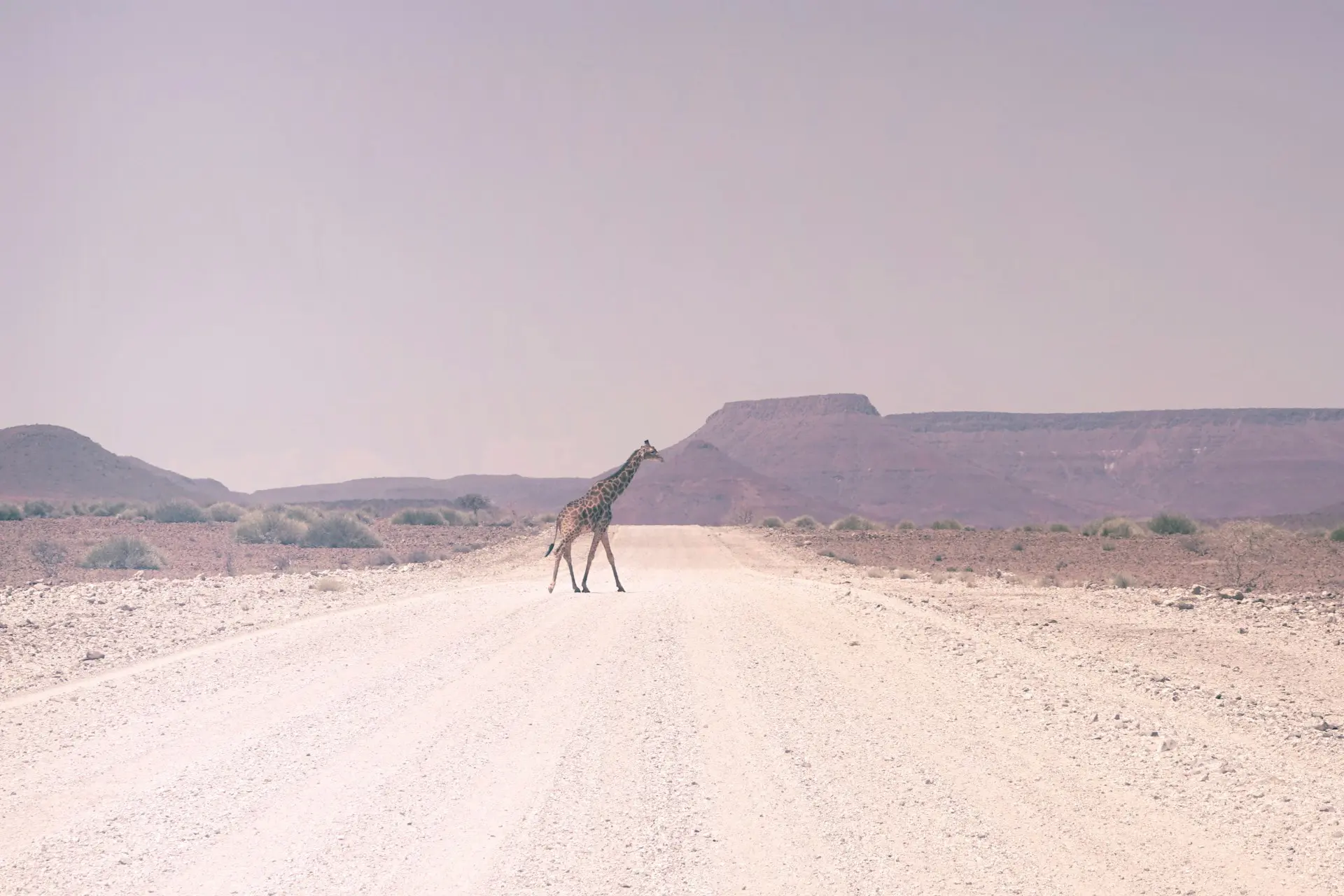10 Reasons to Visit Namibia in 2025