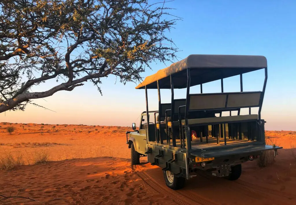 All About the Kalahari Desert