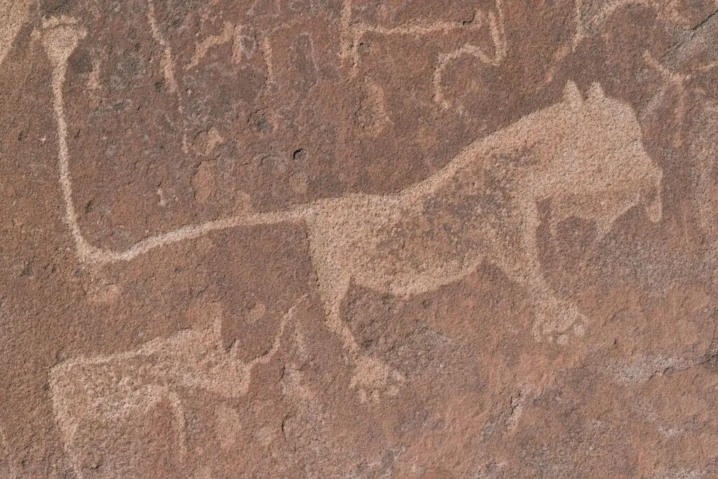 Ancient Rock Engravings at Twyfelfontein