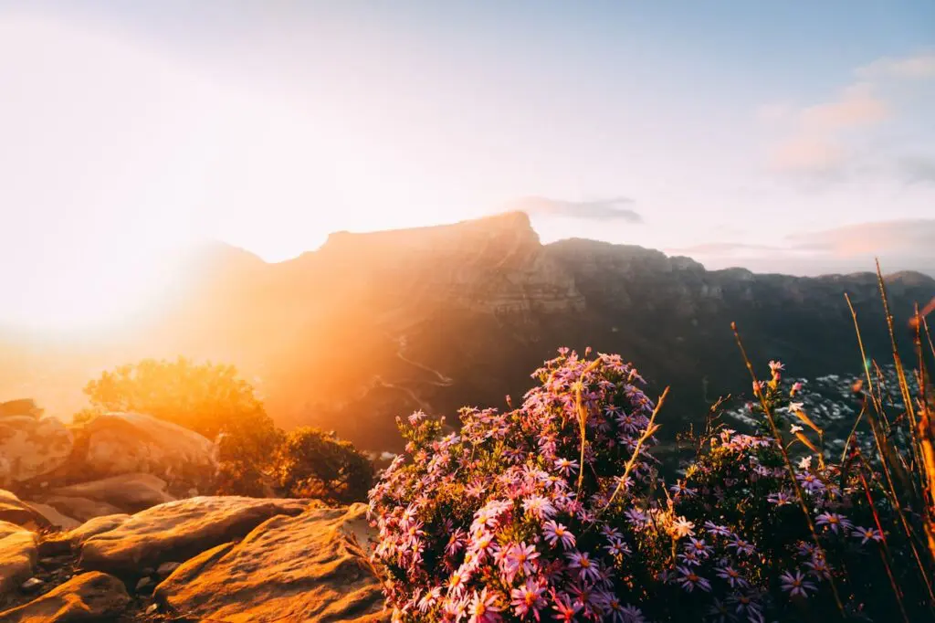 Cape Town Holiday in December