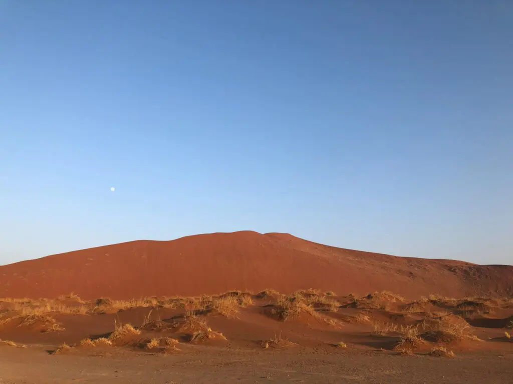 Kalahari Desert Landscapes