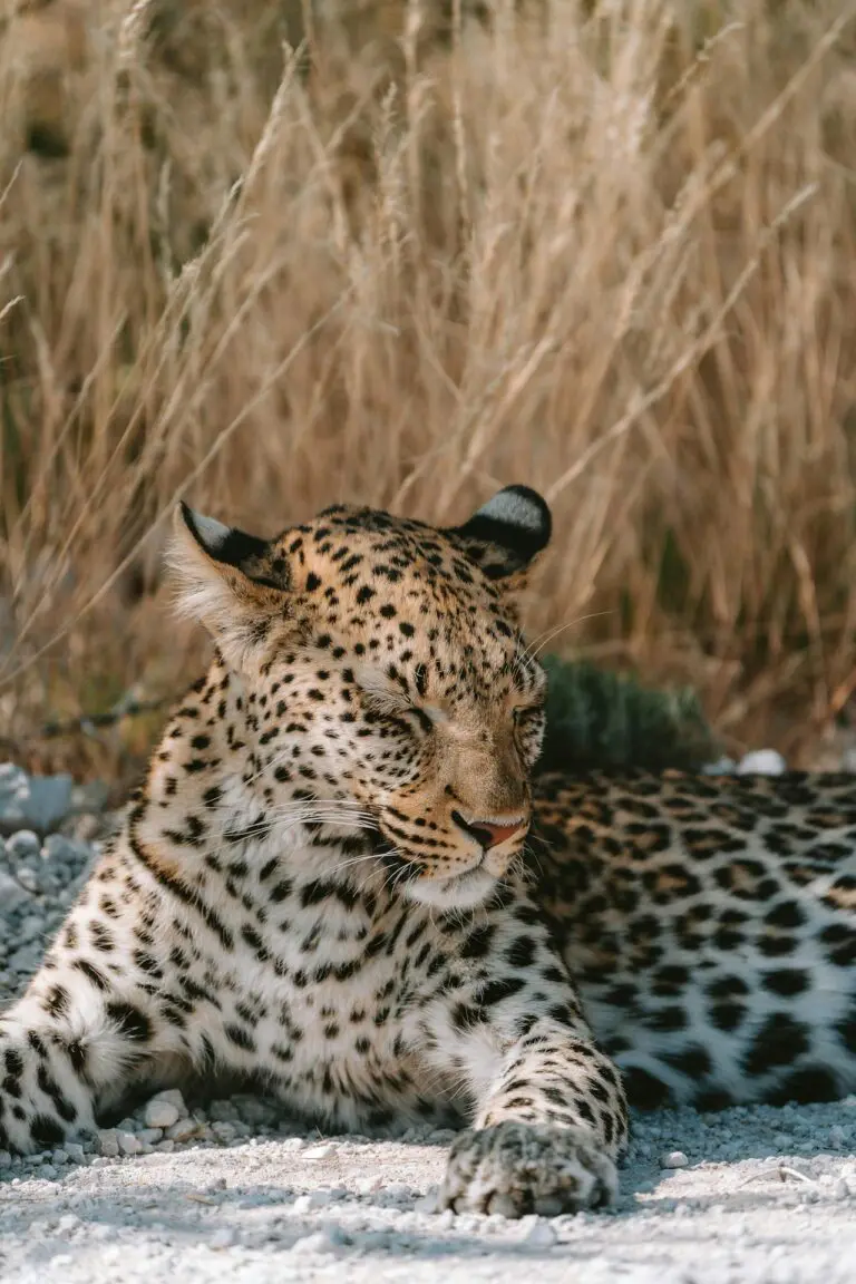Travelling to Namibia during the Festive Season