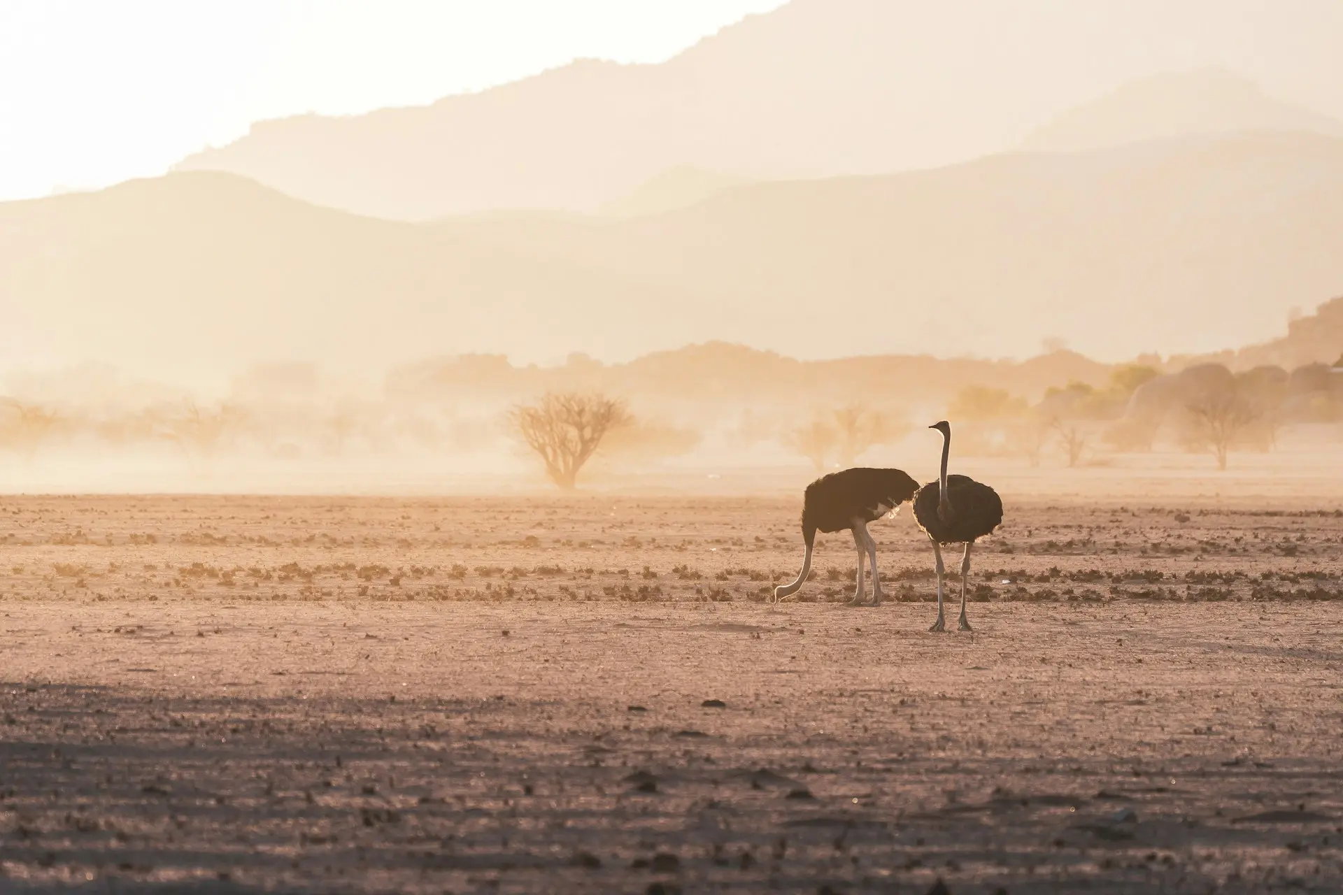 Best Time to Visit Namibia