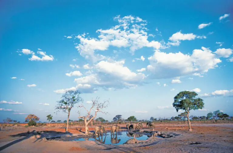 Is Botswana Safe