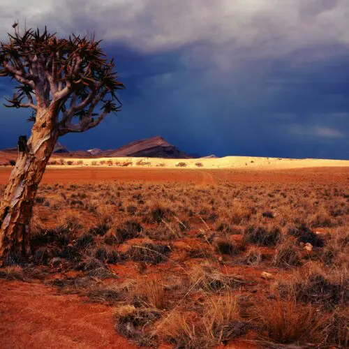 Landscape in Namibia