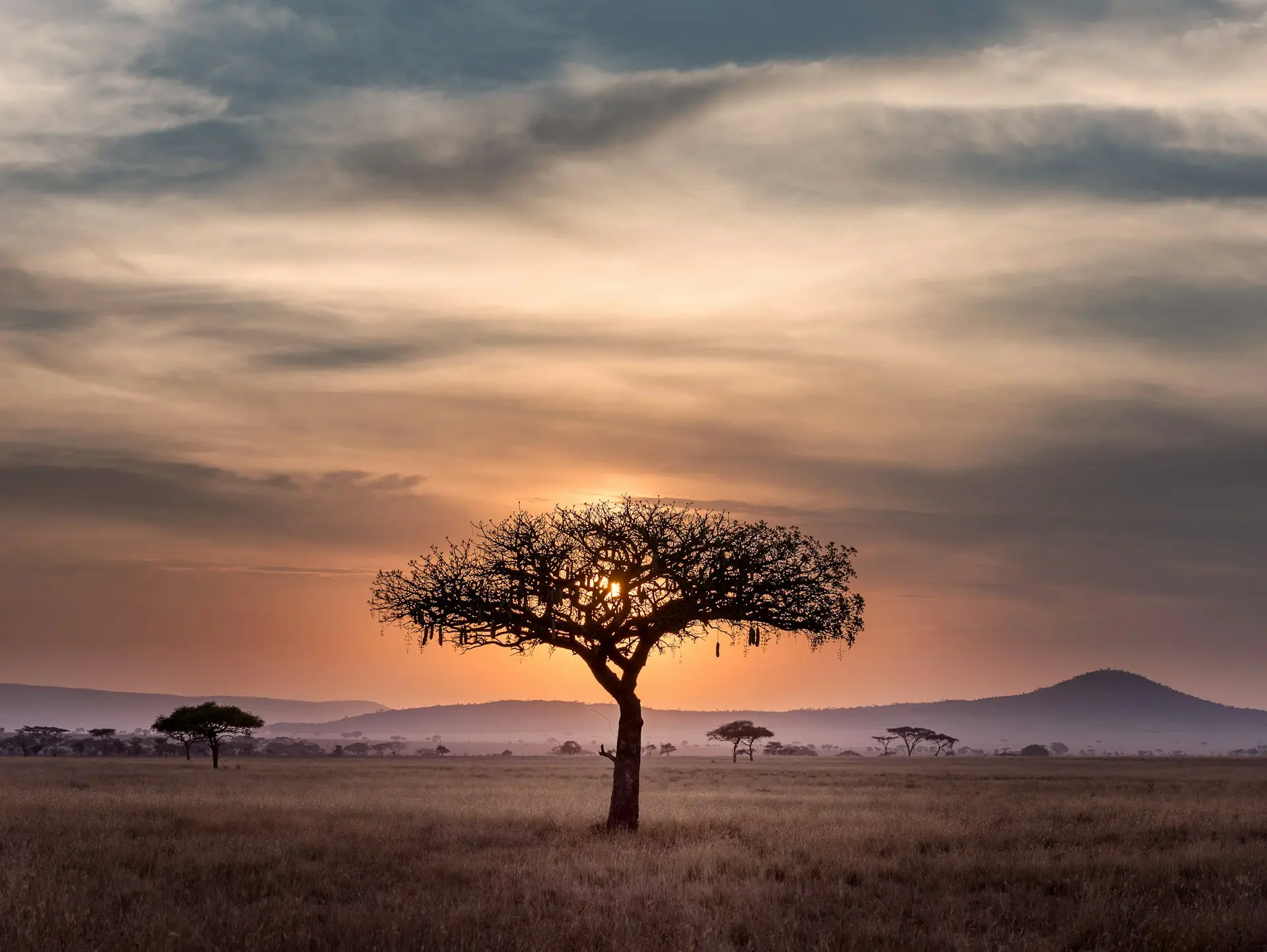 Why 2025 Is Africa’s Year for Travellers