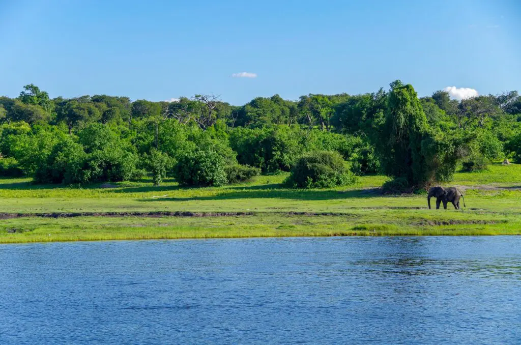Chobe National Park in December