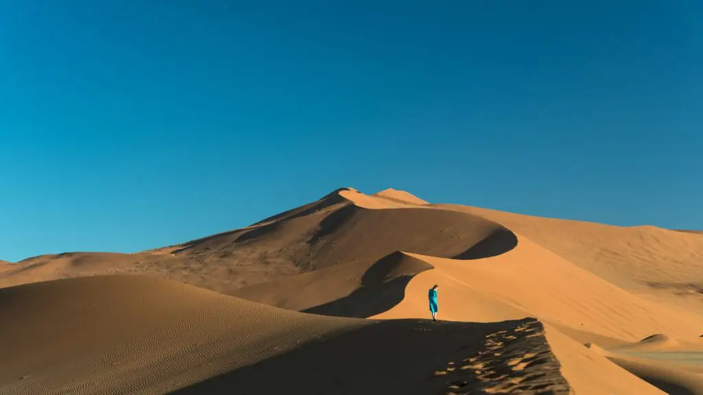 Namibia Honeymoon Safaris: Romance in the Desert, Dunes, and Beyond 16 Desert Tours and Dune Holidays in Namibia