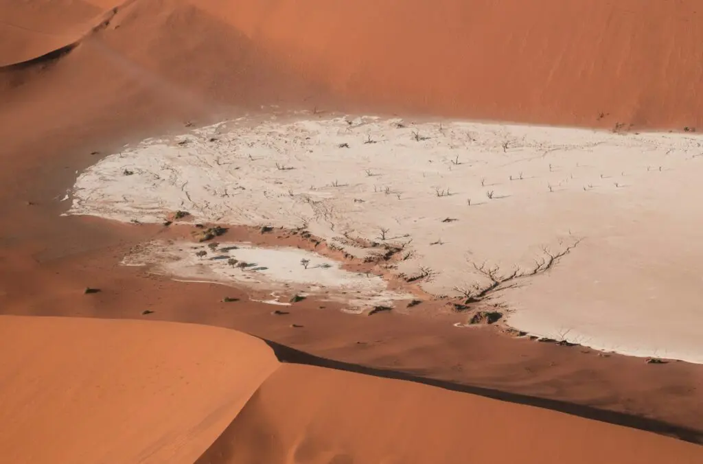 The Deadvlei in the Namib Desert