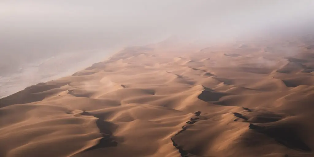 The Skeleton Coast in the Namib Desert