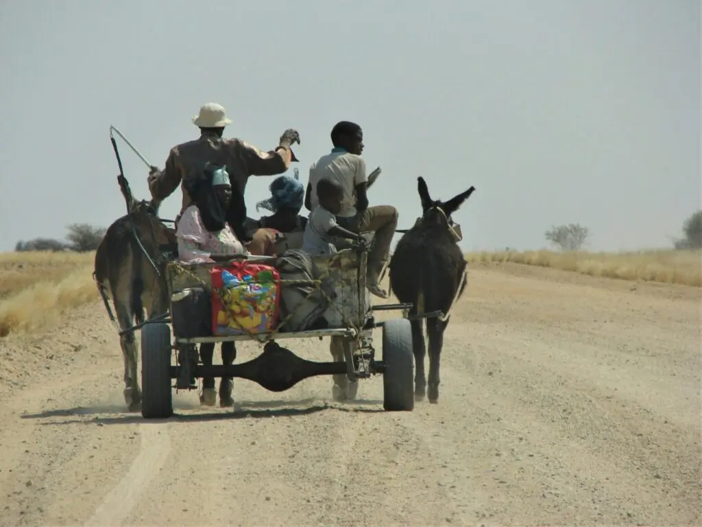Facts About Namibian Cultures