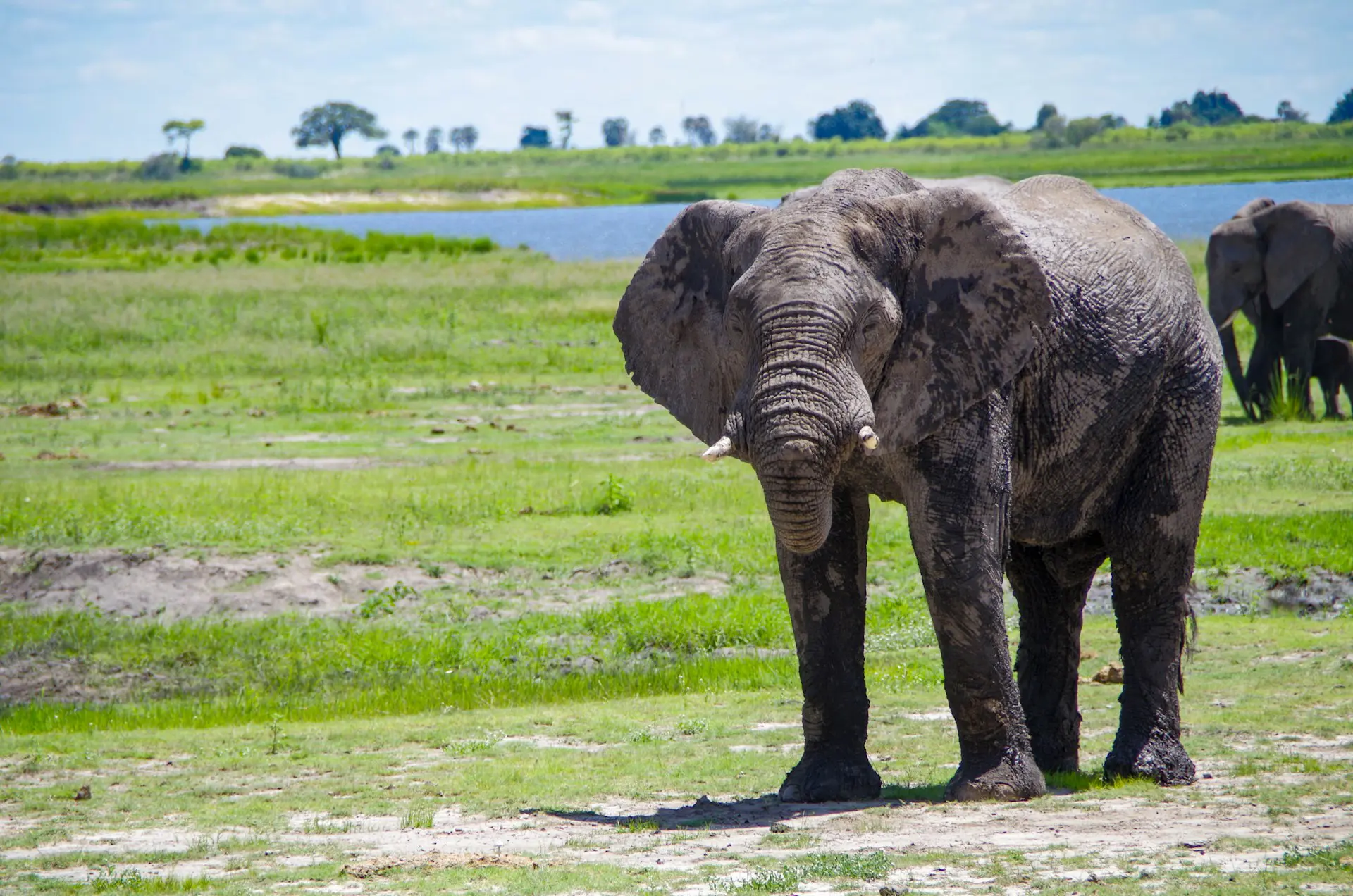 Kwando and Chobe River Safaris