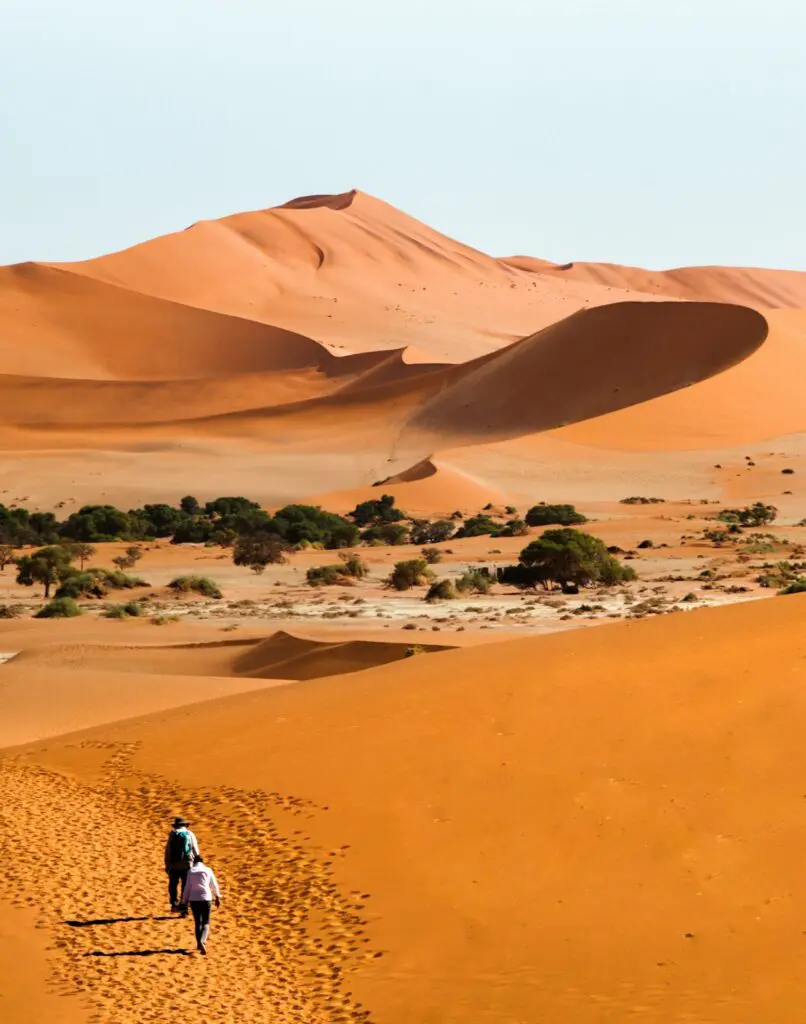Wellness Safaris: Why the Namibian Desert Will Calm Your Soul 16 Family Walking on a Namibia Dune