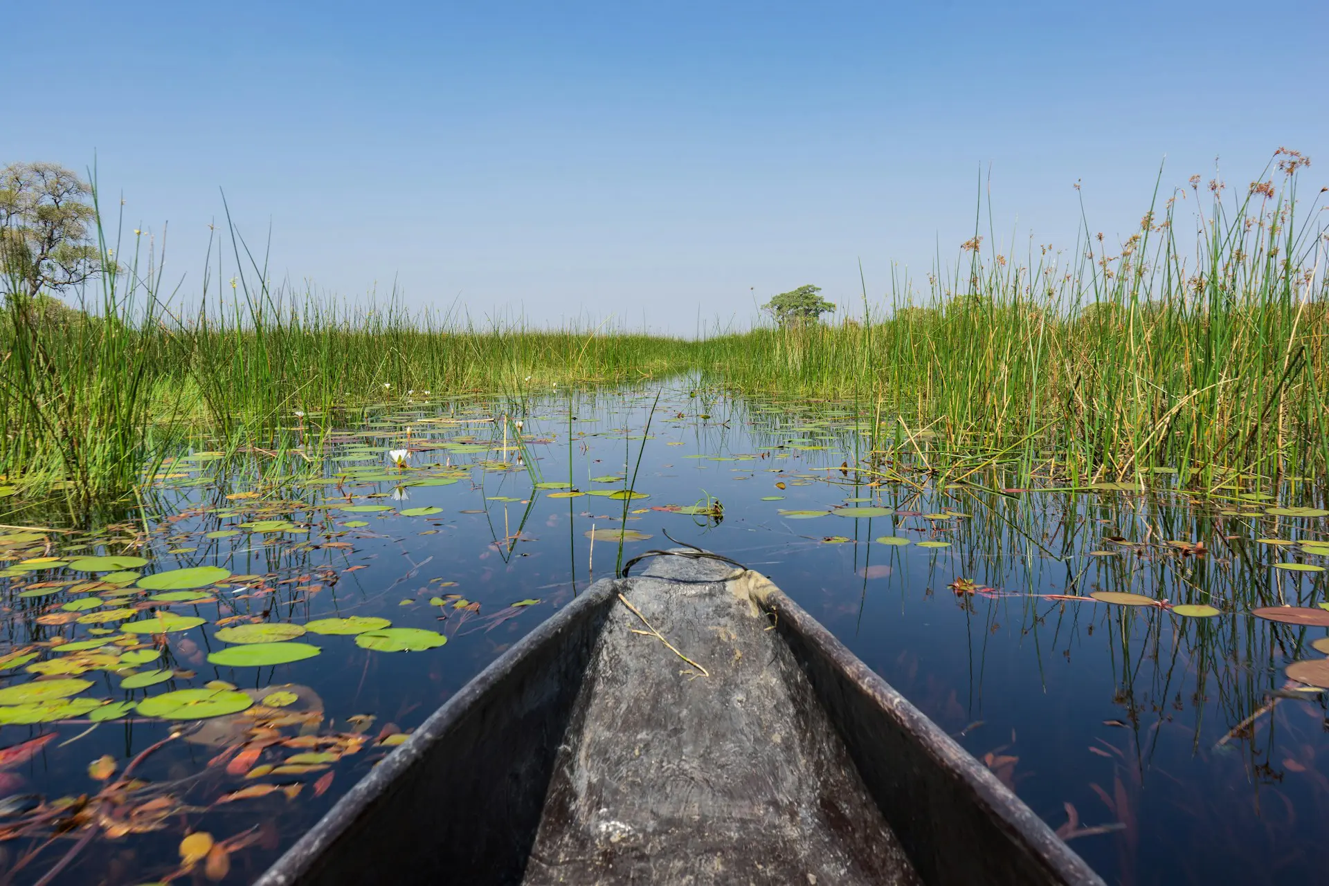 Mokoro River Safari in Botswana