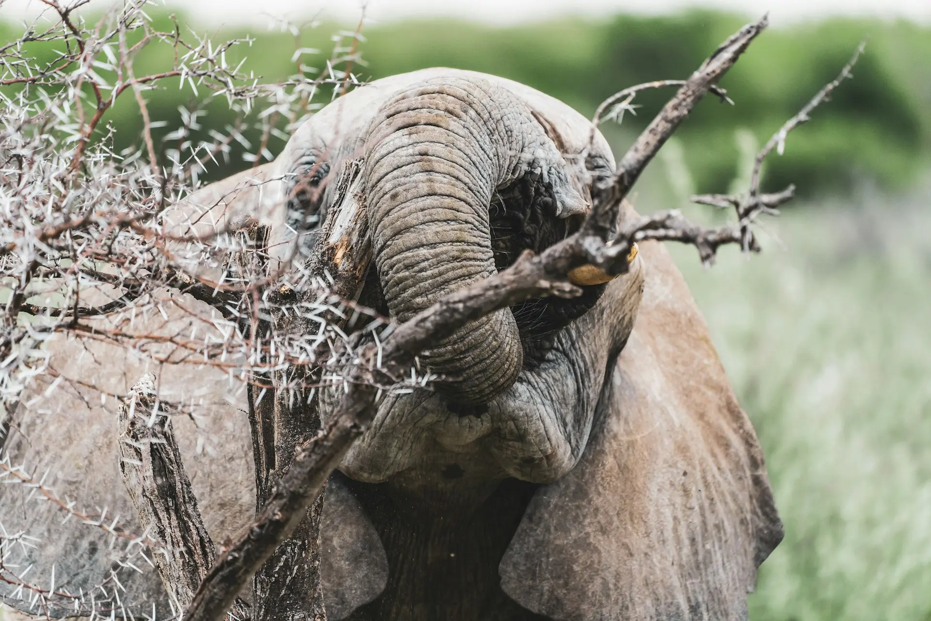 Namibia Photography Safari