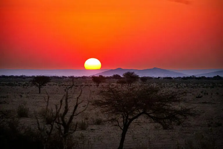 Night Drives in Namibia