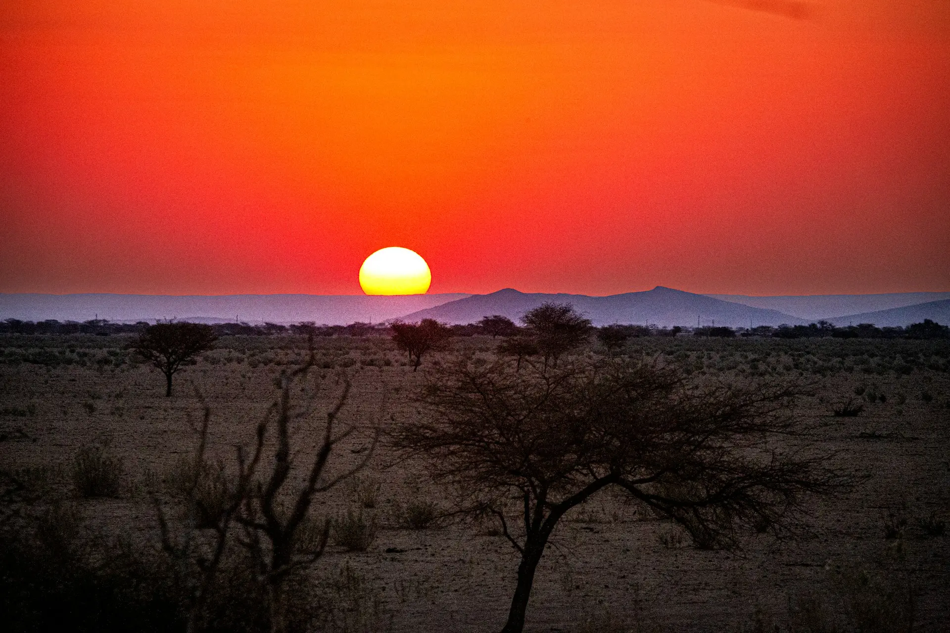 Night Drives in Namibia