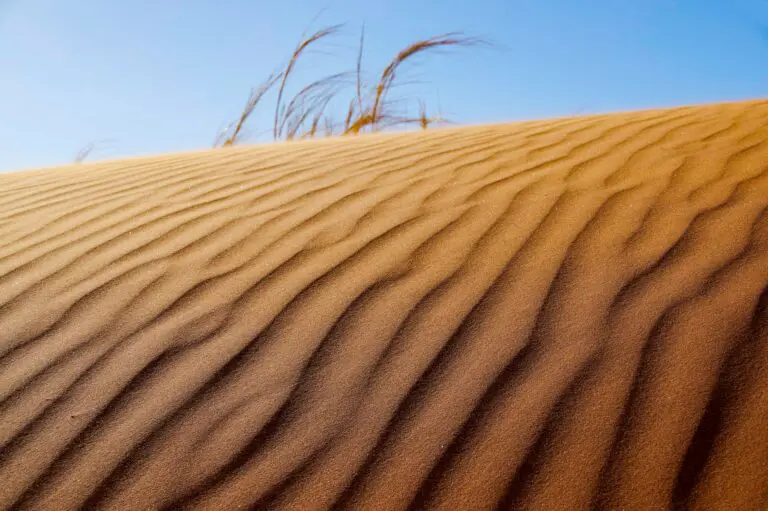Namibia Desert Tours