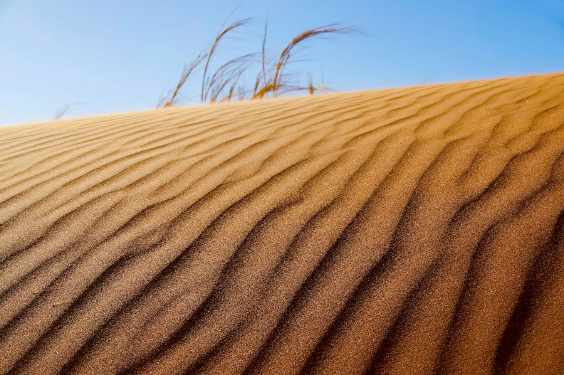Namibia Desert Tours