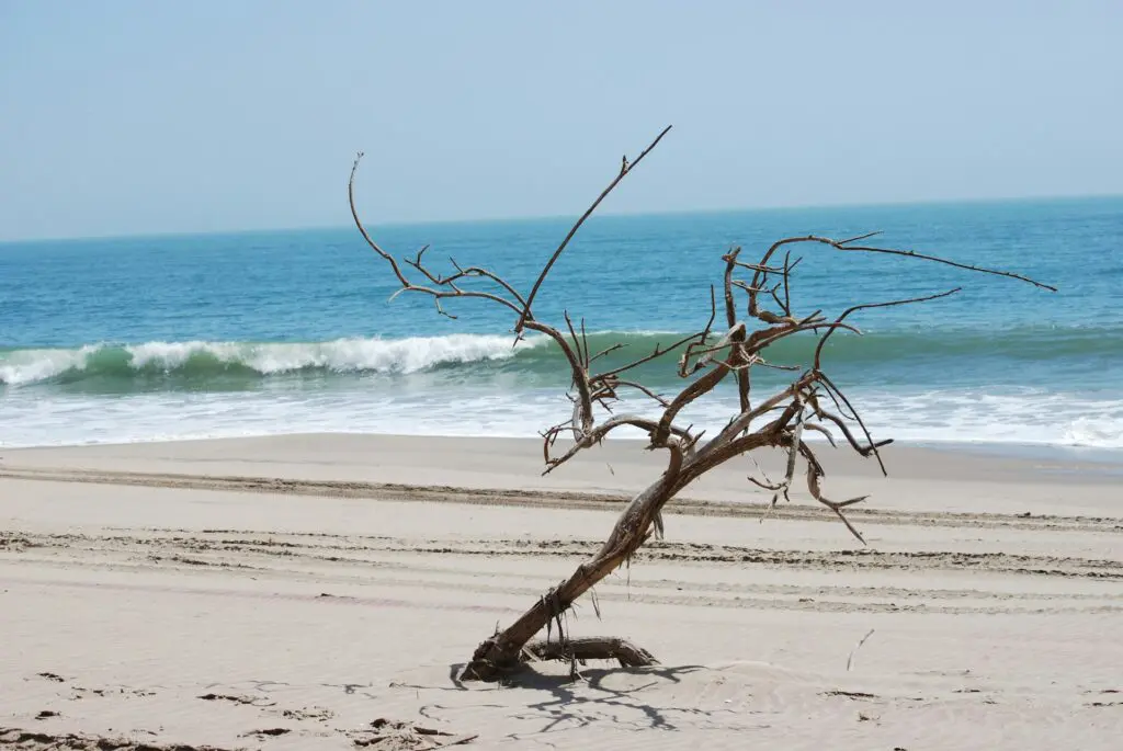The Coast and Ocean Seen on the Beach Safaris in Namibia