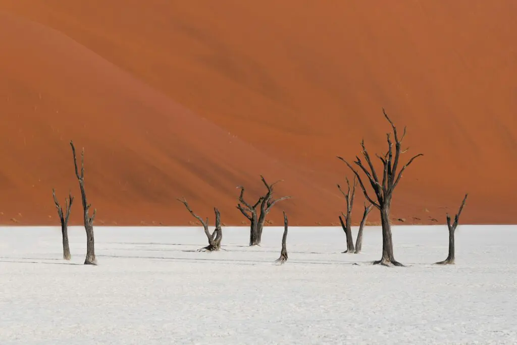 The Deadvlei in the Namib Desert