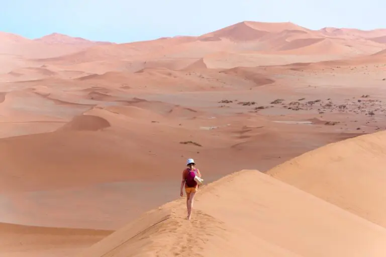 Walking Along the Namib