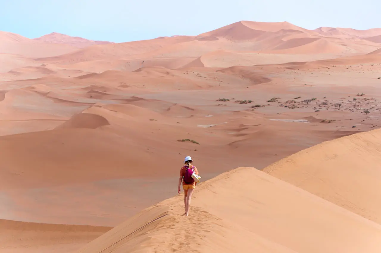 Walking Along the Namib