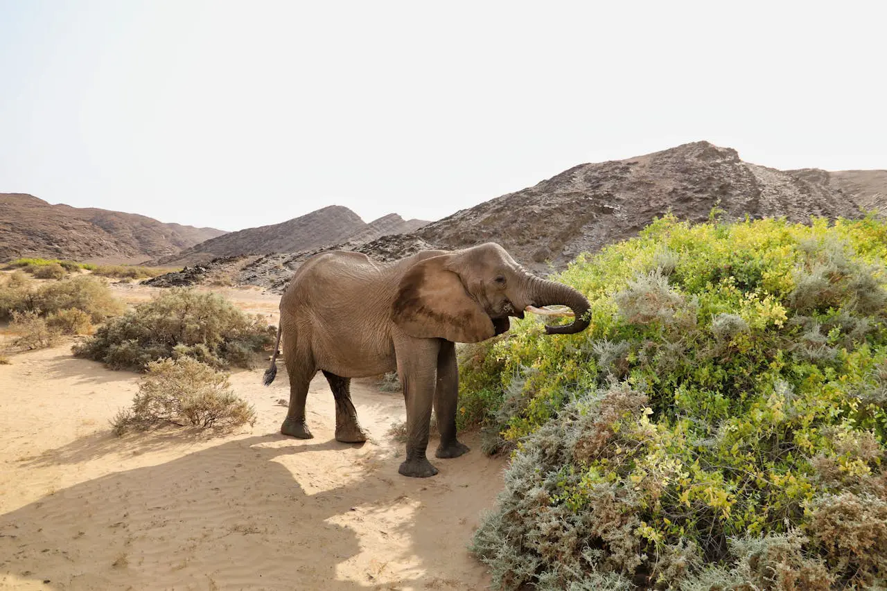 Namibia in December