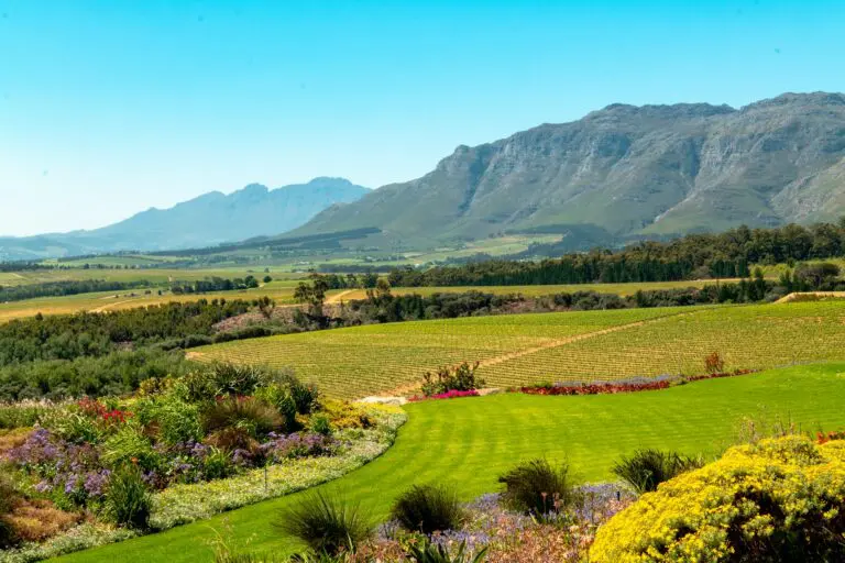 Stellenbosch Gardens